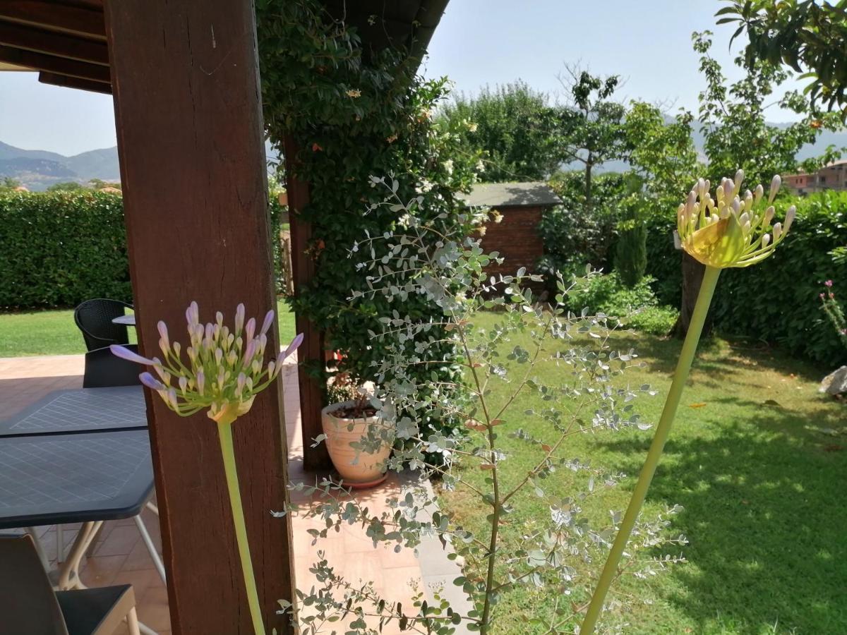 B&B Il Tiglio Padula Eksteriør bilde