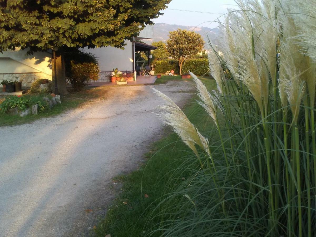 B&B Il Tiglio Padula Eksteriør bilde